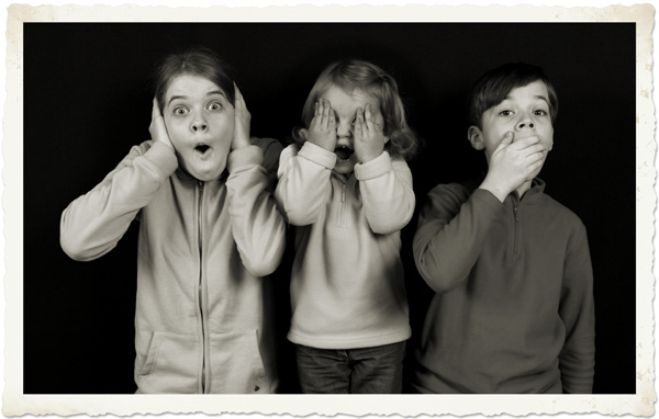 20120515224036_3_singes_nb 20120515224036_3_singes_nb