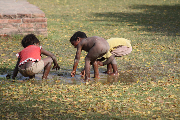 20120517103941_img_6604 20120517103941_img_6604