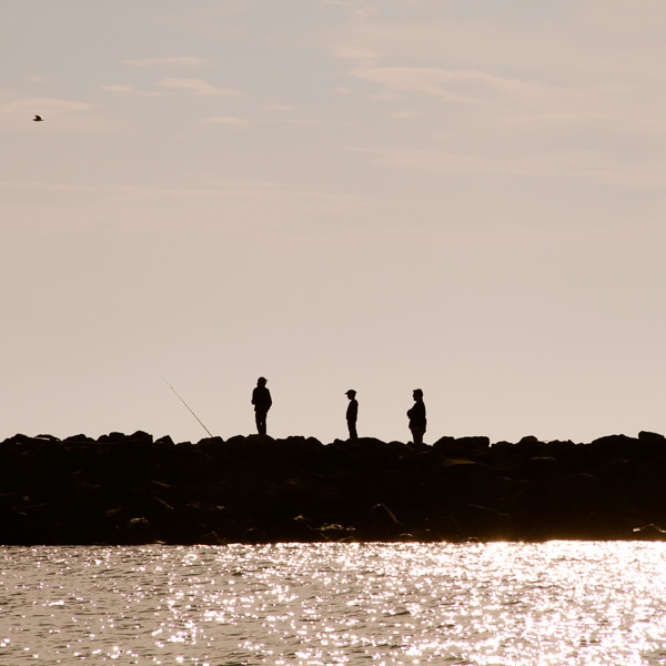20120518170856_familybyglaucianogueira 20120518170856_familybyglaucianogueira