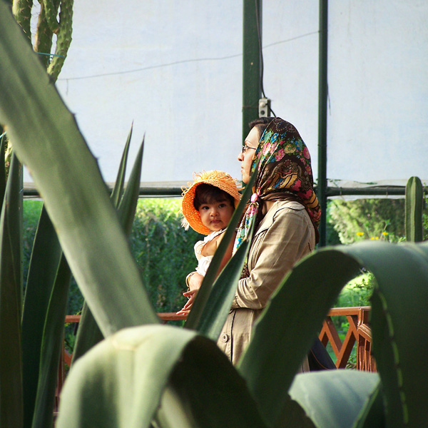 20120607184315_01_elian_chrebor_une_histoire_de_famille 20120607184315_01_elian_chrebor_une_histoire_de_famille