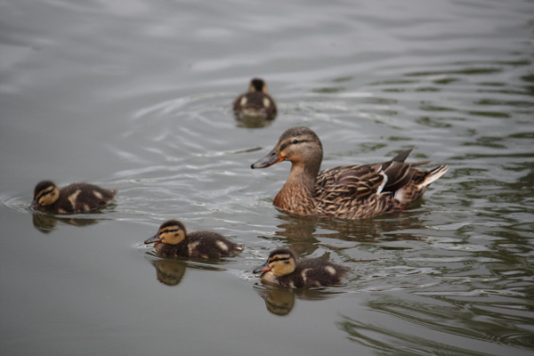 20120612151800_tout_neuf 20120612151800_tout_neuf