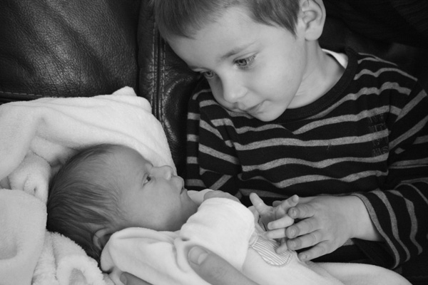 20120611132918_img_2874 20120611132918_img_2874