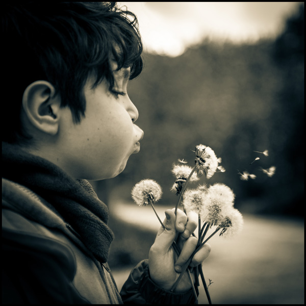 20120611191740_20120429_163429_1 20120611191740_20120429_163429_1