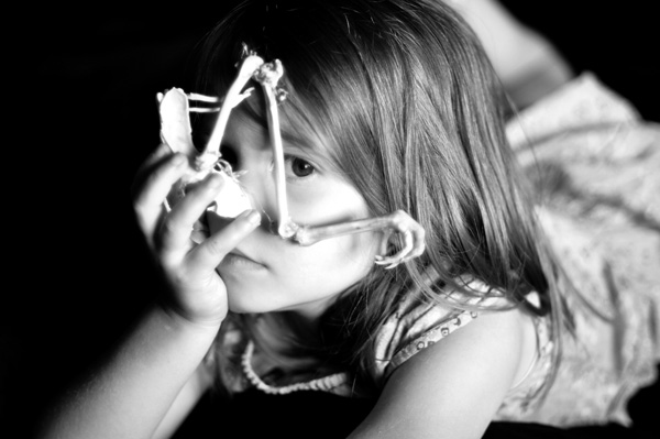 20120612104625_patte06 20120612104625_patte06