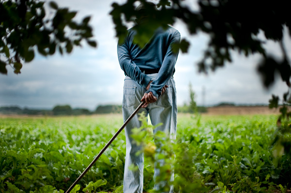 20120611232614__nk72407 20120611232614__nk72407