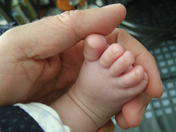 20120612185050_snb12243a 20120612185050_snb12243a