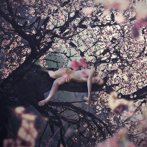 20120627210859_2500_marques_de_nacre_mother_nature 20120627210859_2500_marques_de_nacre_mother_nature