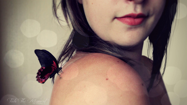 20120628153342_sans_titre_1a 20120628153342_sans_titre_1a