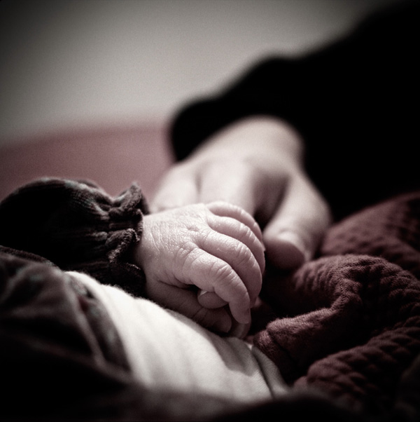 20120619211229_img_7225_ 20120619211229_img_7225_