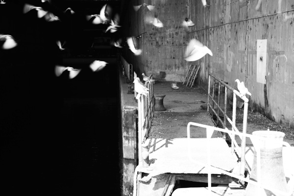 20120703015226_instant__64_ 20120703015226_instant__64_