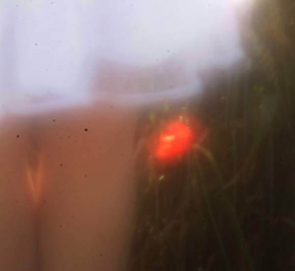 20120708104054_feminite3 20120708104054_feminite3