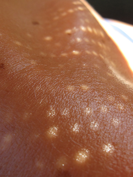 20120709163151_img_3873 20120709163151_img_3873