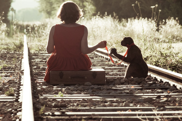 20120705172840_le_prince_charmant 20120705172840_le_prince_charmant