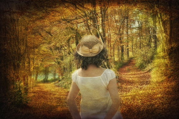 20120725202523_the_dilemma 20120725202523_the_dilemma