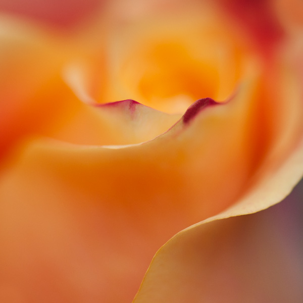 20120729100340__dsc3178ab 20120729100340__dsc3178ab