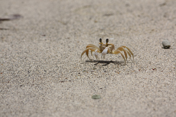 20120822133610_img_1639 20120822133610_img_1639