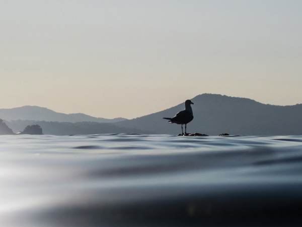 20120823071010_g 20120823071010_g