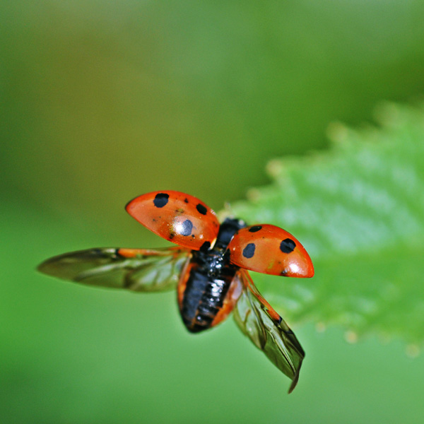 20120822105127_fff 20120822105127_fff
