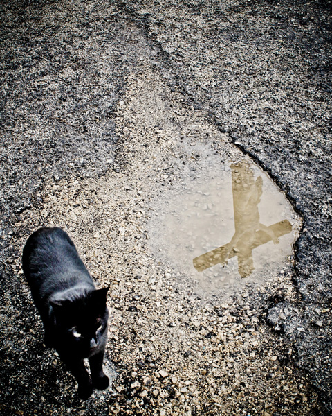 20120822184540_img_1115 20120822184540_img_1115