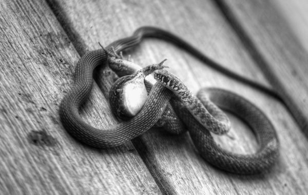 20120823123647_instant_decisif 20120823123647_instant_decisif