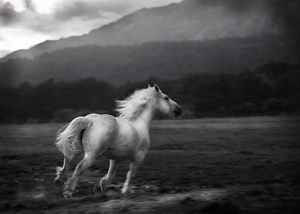 20120823130111_olivia_marocco 20120823130111_olivia_marocco