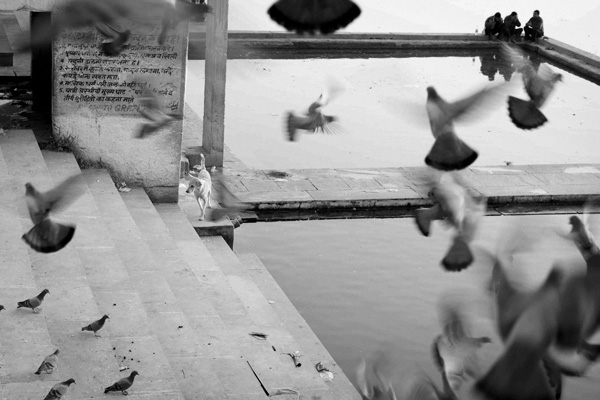 20120823183329_carlos_ayesta_1 20120823183329_carlos_ayesta_1