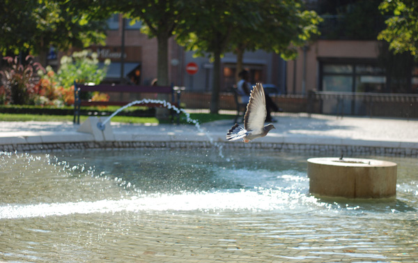 20120823194623_un_envol_rafraichissant 20120823194623_un_envol_rafraichissant