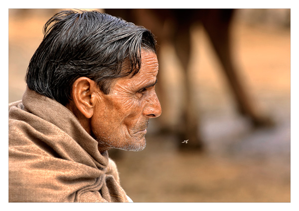 20120823213931_ivresses_indiennes0049 20120823213931_ivresses_indiennes0049