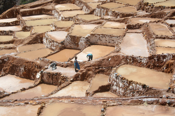 20120825091441_copie_de_petillot_jeanlouis_eos 20120825091441_copie_de_petillot_jeanlouis_eos