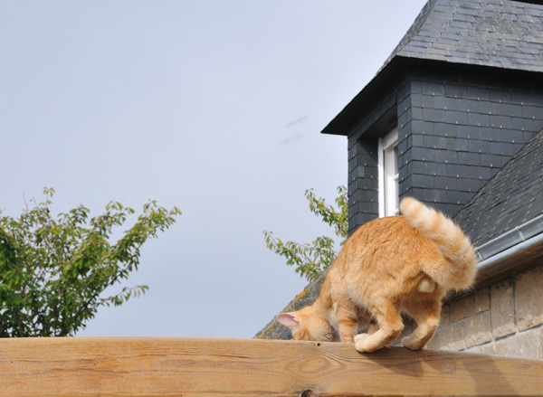 20120827151651_dsc_8754 20120827151651_dsc_8754