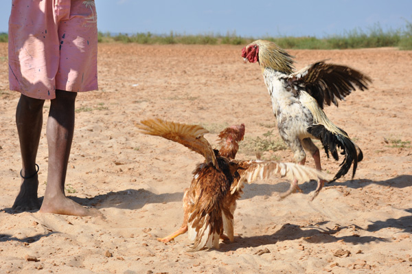 20120827105200_dsc_0022 20120827105200_dsc_0022