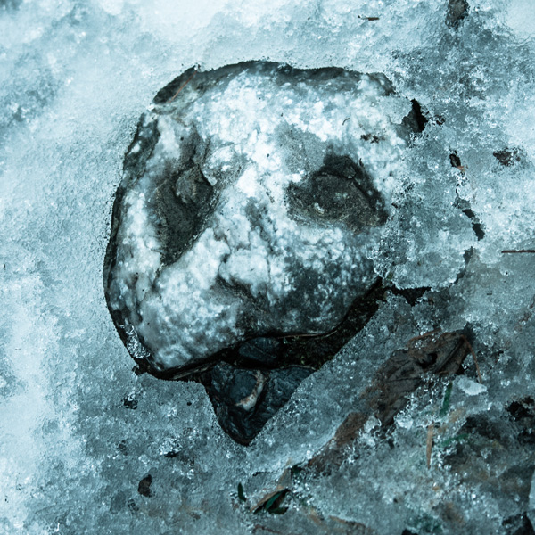 20120827125559_degel 20120827125559_degel