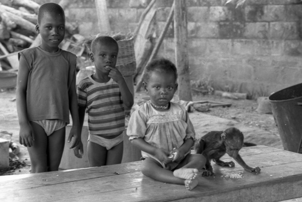 20120829074501_04bt037 20120829074501_04bt037