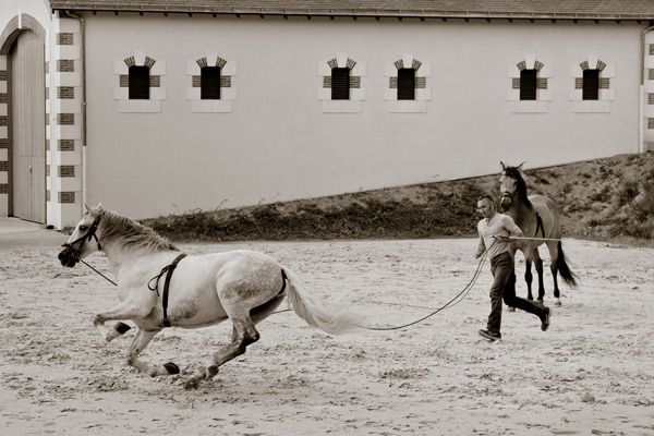 20120829151015_le_galop_autorise 20120829151015_le_galop_autorise