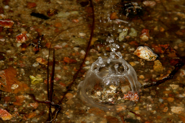 20120901084424_img_0577 20120901084424_img_0577