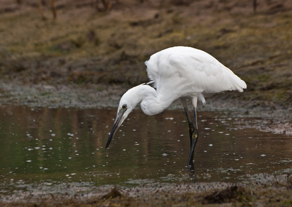 20120902202838_comp_photo 20120902202838_comp_photo