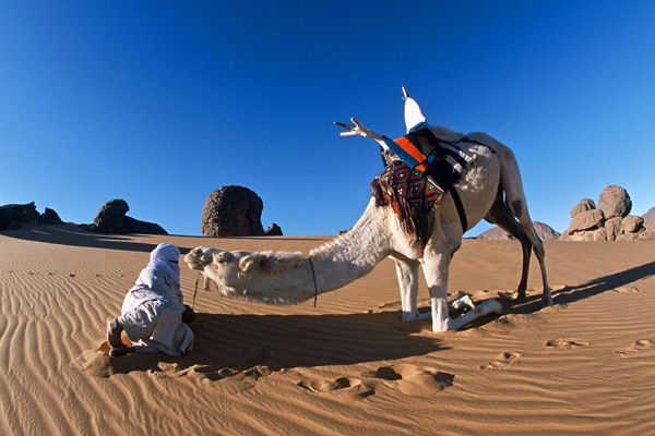 20120905140953_un_touareg_dans_le_tassili_n_ajjers_en_algerie 20120905140953_un_touareg_dans_le_tassili_n_ajjers_en_algerie