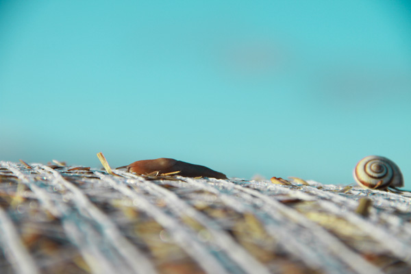 20120910155543_isabelle_marmat_change_of_life 20120910155543_isabelle_marmat_change_of_life