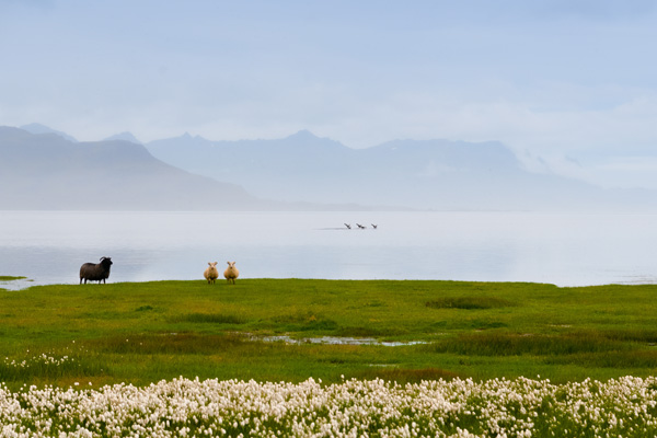 20120907212806_2012_09_photo_fr_bg01 20120907212806_2012_09_photo_fr_bg01