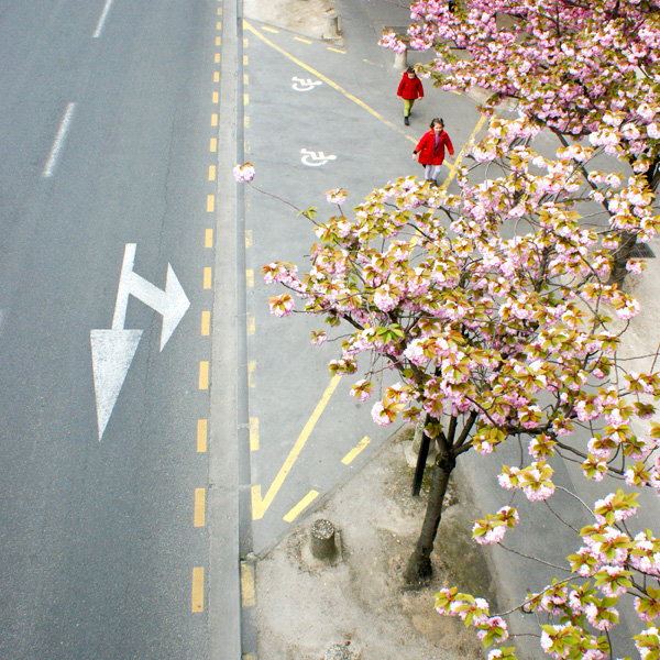 20120911165321_chaperons_rouges___copie 20120911165321_chaperons_rouges___copie