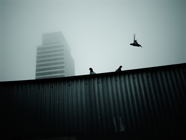 20120911181907_6596668567_82e41cf7ca_o 20120911181907_6596668567_82e41cf7ca_o