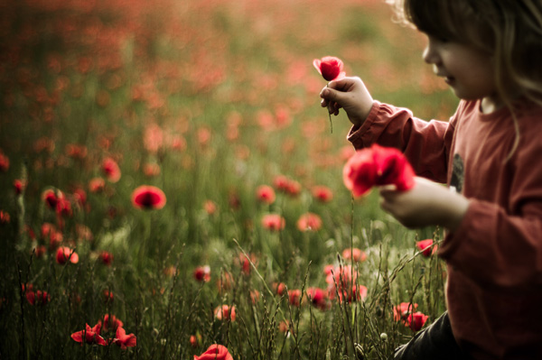 20120914054851_camille_coquelicot2 20120914054851_camille_coquelicot2