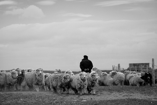 20120914211801_l_homme_en_minorite 20120914211801_l_homme_en_minorite