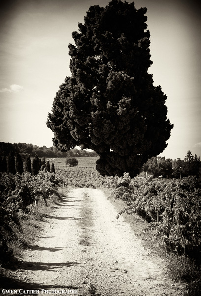 20120914170137_le_chemin 20120914170137_le_chemin