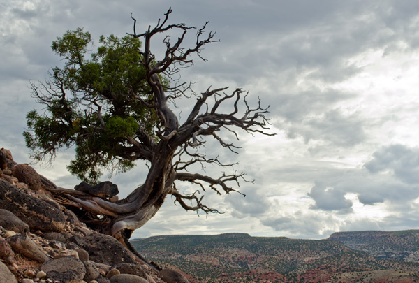 20120916174350__dsc0208_3 20120916174350__dsc0208_3