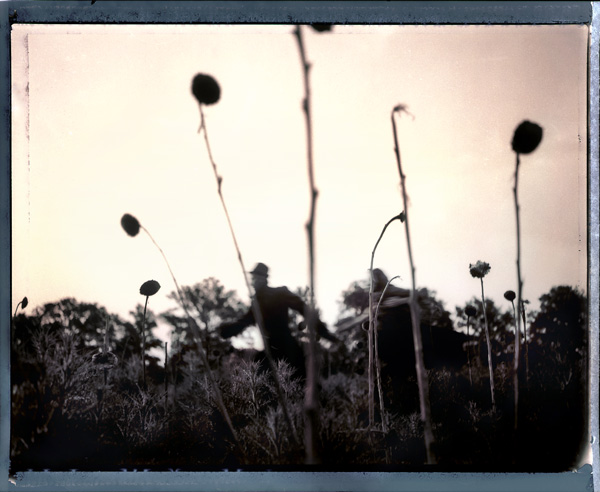 20120914114840_tournesol_1 20120914114840_tournesol_1