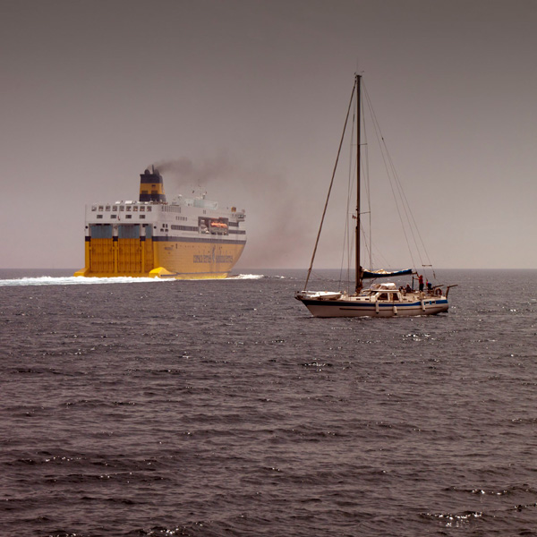 20120918121131_rencontre_improbable 20120918121131_rencontre_improbable