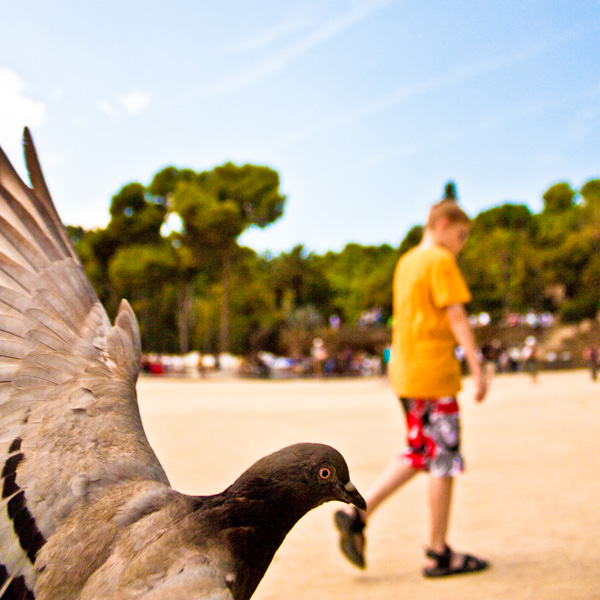 20120918133236_img_0081_modifier_2 20120918133236_img_0081_modifier_2