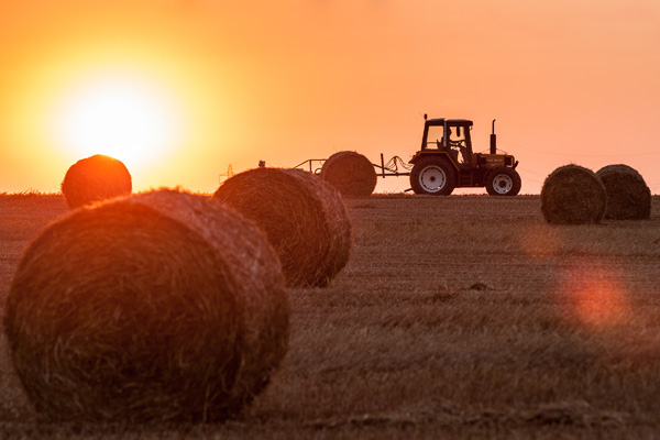 20120918193031_competencephoto_expooriginale_act5_dupuisemmanuel 20120918193031_competencephoto_expooriginale_act5_dupuisemmanuel