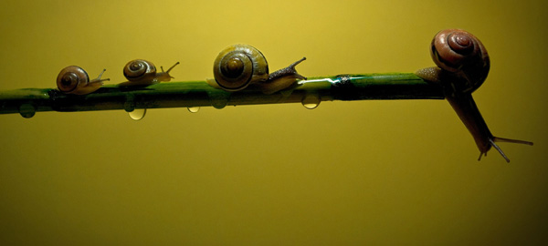 20120919004118_instant 20120919004118_instant